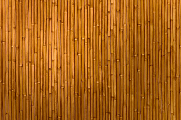 абстрактный бамбуковый фон - bamboo стоковые фото и изображения