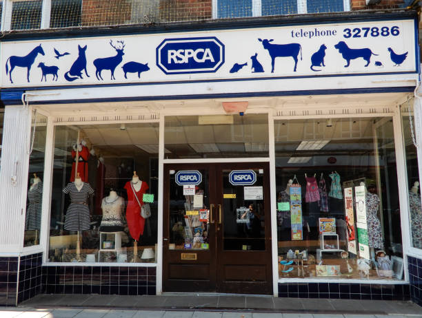 The front entrance to the RSPCA Charity Shop in London Street Basingstoke, United Kingdom - July 05 2018:   The front entrance to the RSPCA Charity Shop in London Street basingstoke photos stock pictures, royalty-free photos & images