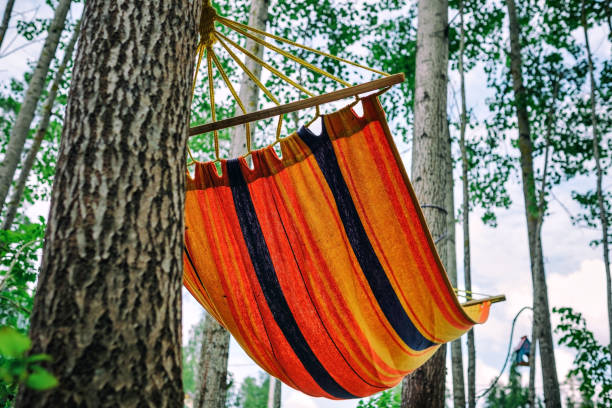 istock Empty hammock in the green forest. Nobody is resting in it. 1004161388