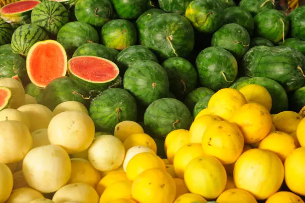 Tropical fruits  - watermelon, honeydew melons