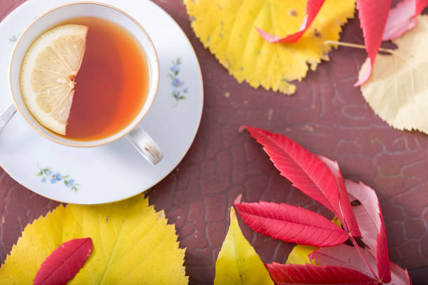 istock Cup of Tea in autumn 1004186444