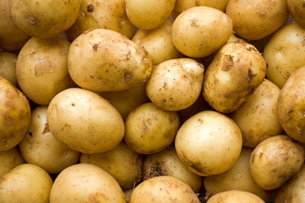 istock Pile of potatoes closeup 1004187270