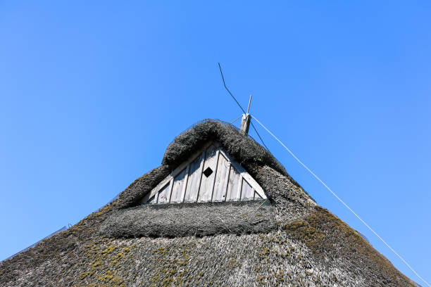 istock Rooftop of a thatched roof house 1004187512