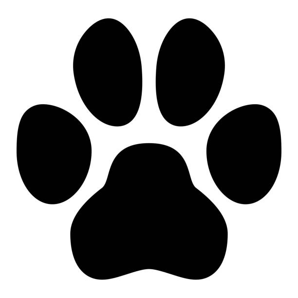 haustier pfote symbol. einfache schwarze hund oder katze fußabdruck form. - dog paw print images stock-grafiken, -clipart, -cartoons und -symbole