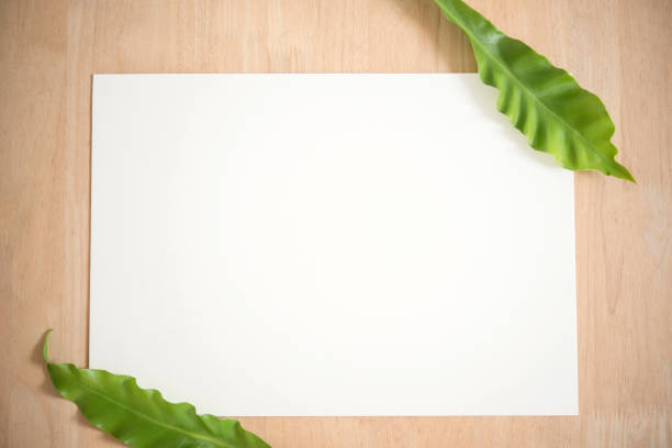 istock Blank white greeting paper card with green leaf. for mockup template. 1004208678