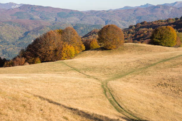 istock autumn landscape on the mountains in Italy 1004212856