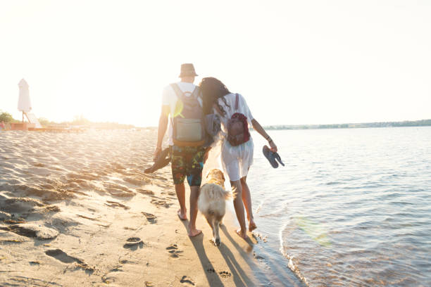 Two young people holding hands and walking on beach with a dog