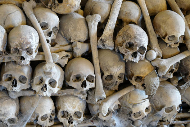 istock pile of human skulls and bones 1004216168