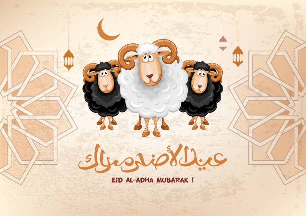 Eid Al Adha Mubarak Stock Illustration - Download Image Now - Eid al-Adha,  Eid-Ul-Fitr, Sacrifice - iStock
