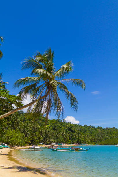 istock Port Barton - El Nido, Palawan, Philippines 1004218082