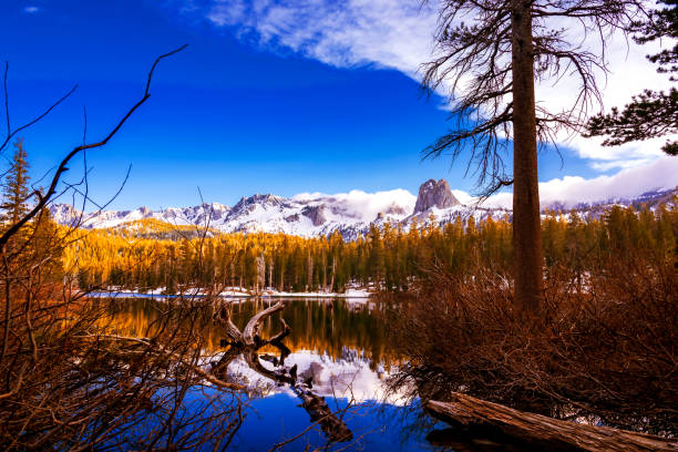 Shots of the beautiful scenery you will see in Yosemite National Park.