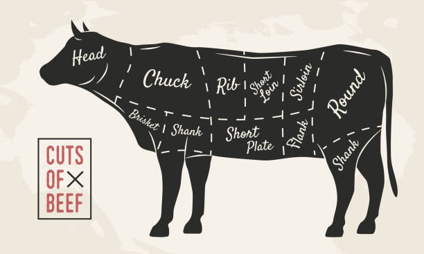 istock Meat cuts. Beef cuts. Vintage Poster for Restaurant or butcher shop. Retro diagram. Vector illustration. 1004222422