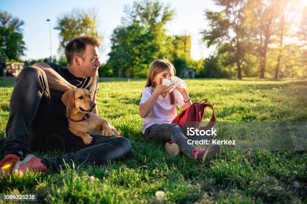 Mädchen Die Nase Weht Und Sitzen Auf Dem Rasen Mit Vater Stockfoto und mehr Bilder von Allergie