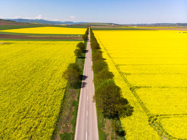 istock Aerial view of highway 1004225468