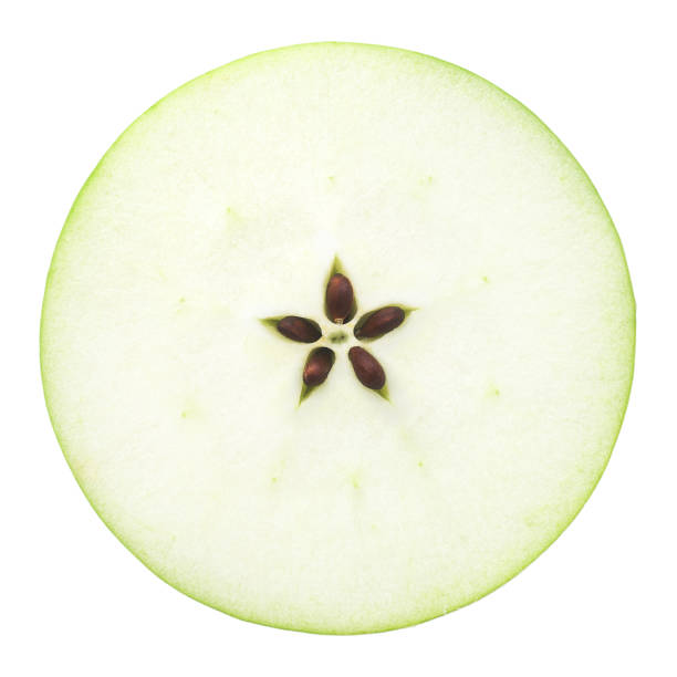 istock the cut apple in half, in the middle a seed, separately on a whi 1004225542