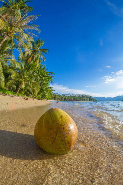 istock Port Barton - El Nido, Palawan, Philippines 1004225556