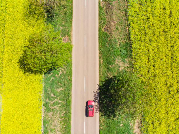 istock Above view of a red car driving 1004225648