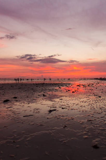 istock Pastel Sunset in Fort Myers Beach 1004226000