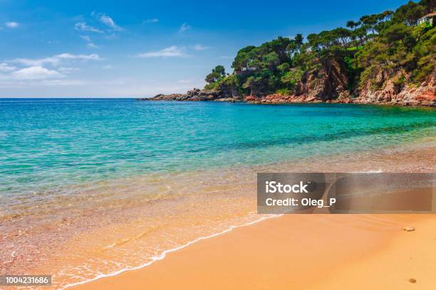Sea Landscape Llafranc Near Calella De Palafrugell Catalonia Barcelona Spain Scenic Old Town With Nice Sand Beach And Clear Blue Water In Bay Famous Tourist Destination In Costa Brava Stock Photo - Download Image Now