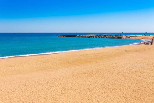 istock Barceloneta beach in Barcelona. Nice sand beach with palms. Sunny bright day with blue sky. Famous tourist destination in Catalonia, Spain 1004231728