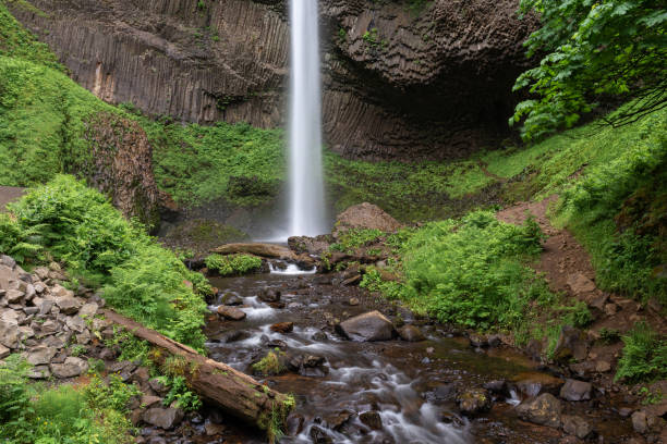 istock Latourell Falls in Columbia River Gorge, Oregon 1004240666