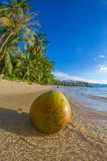 istock Port Barton - El Nido, Palawan, Philippines 1004247424