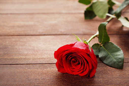 Red rose on brown wooden table