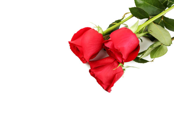 istock Bouquet of red roses on white background 1004249202