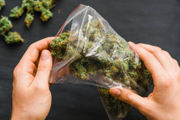 istock Big Package cannabis many weed. Copy spase Copy-space joint 1004249260