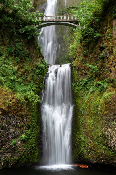 istock Multnomah Falls in Columbia River Gorge, Oregon 1004253590