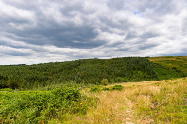 istock Countryside in remote rural Scotland 1004254588