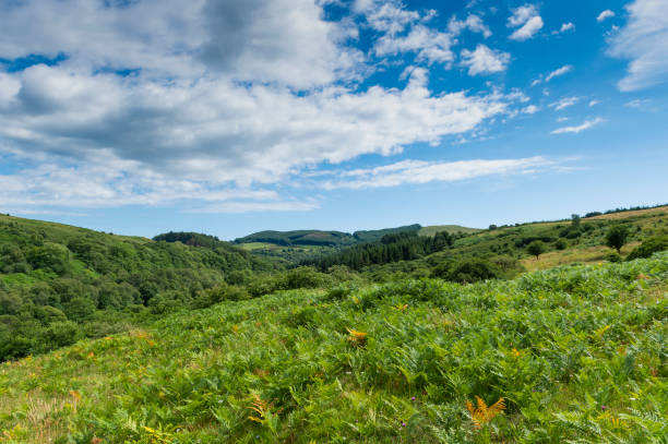 istock Countryside in remote rural Scotland 1004254804