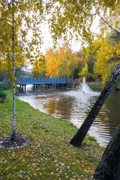 istock A chic autumn view from the shore to the river with a beating fo 1004258514