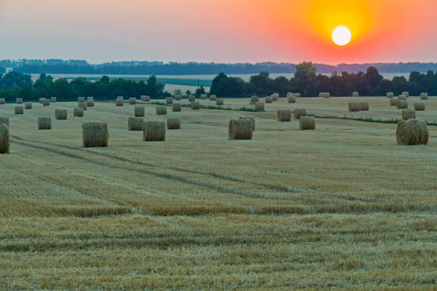 istock Beautiful, bright orange sunset over the field, where there are many straw stacks 1004262688
