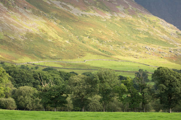 istock Lake District Cumbria summer mountain and lake scenery 1004266440