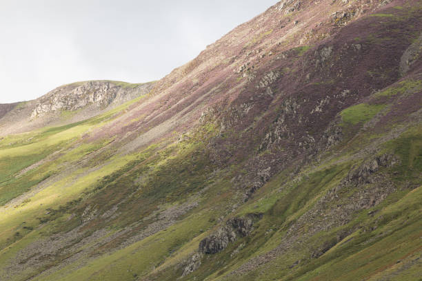 istock Lake District Cumbria summer mountain and lake scenery 1004266444