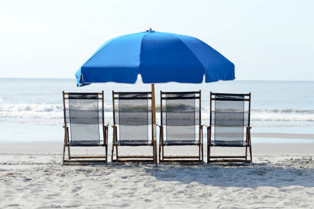 istock Row of lounge chairs and umbrella lined up on the beach 1004269742