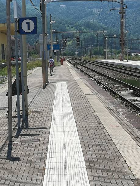 istock Tracks from the platform of vallo station 1004271066