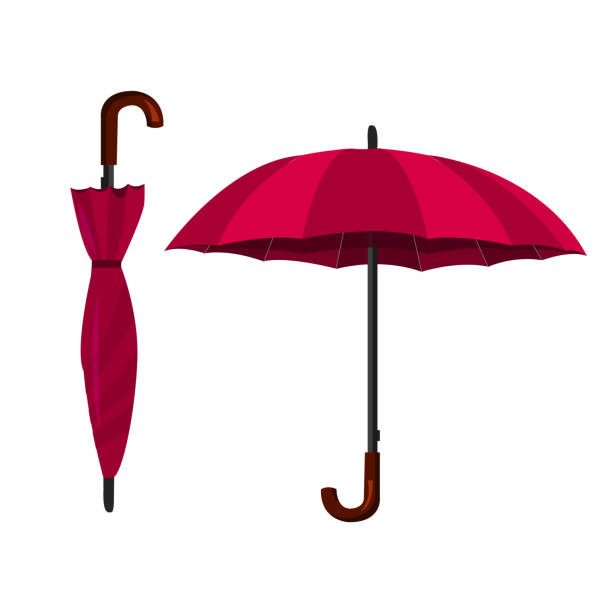 Umbrella Vector Illustration Open And Closed Umbrellas - Arte vetorial de  stock e mais imagens de Guarda-chuva - iStock