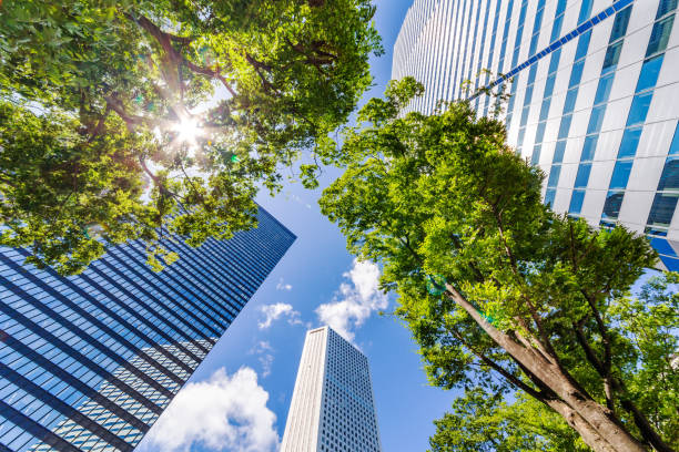 istock Fresh green and skyscrapers 1004277848