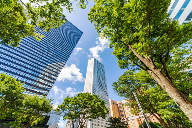 istock Fresh green and skyscrapers 1004277994