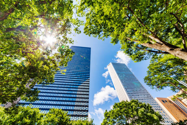 istock Fresh green and skyscrapers 1004278080
