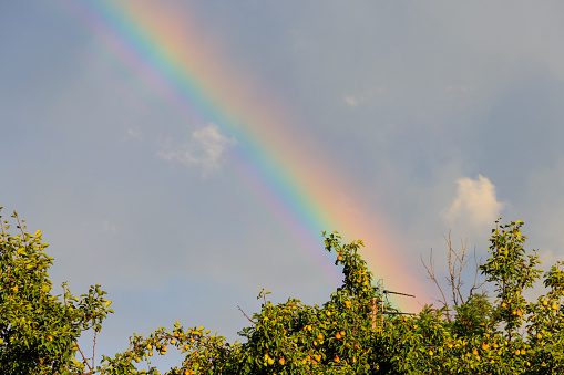 Rainbow in the sky after a rain