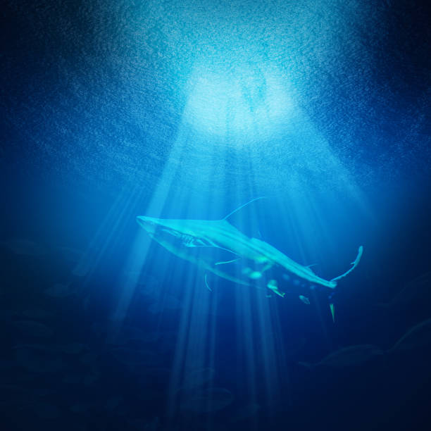 istock Underwater Scene With Sunbeams 1004308812