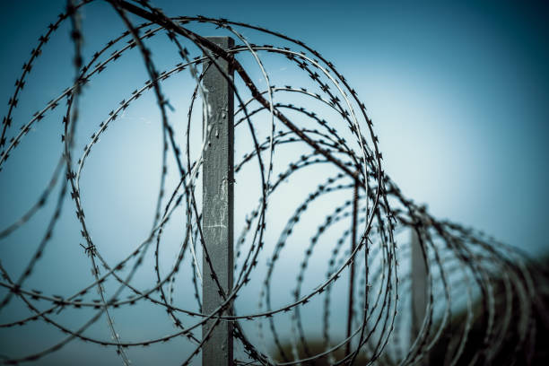 Barbed wire spiral wound on a metal fence against a dark background stock photo