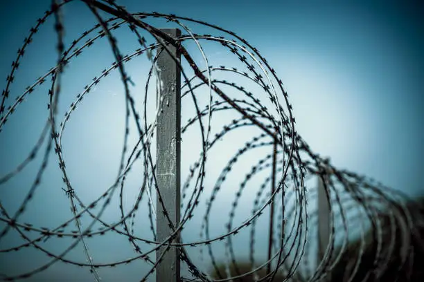 Photo of Barbed wire spiral wound on a metal fence against a dark background