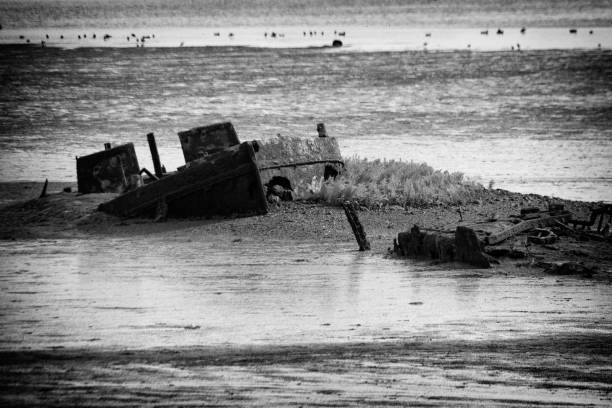 istock Black and white image of abandoned boat decaying in river mud 1004309928