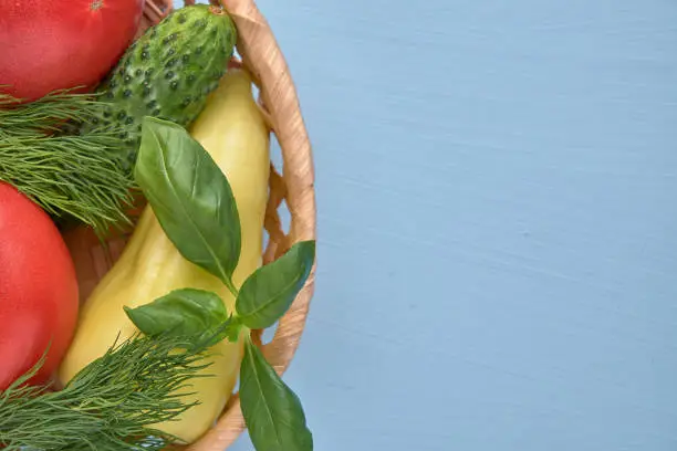 Fresh vegetables, cucumbers, tomatoes, pepper, dill, basil in a wicker basket on a blue background