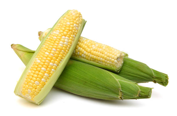 istock fresh corn fruits with green leaves isolated on white background 1004329234