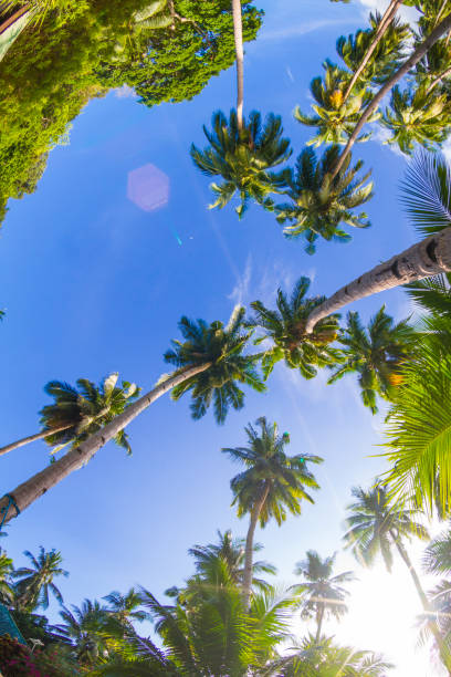 istock Port Barton - El Nido, Palawan, Philippines 1004338368